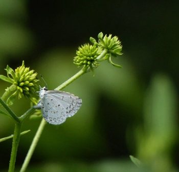 konfliktbearbeitung